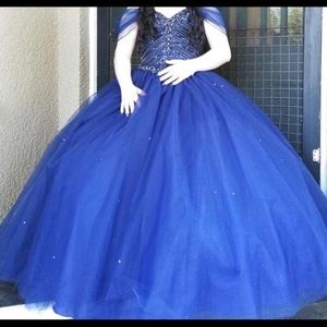 quinceanera/ sweet 16 dress